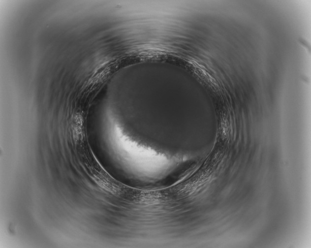 X0000097000964200802221517