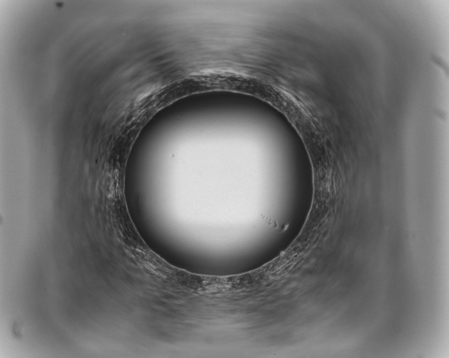 X0000097000965200802221517