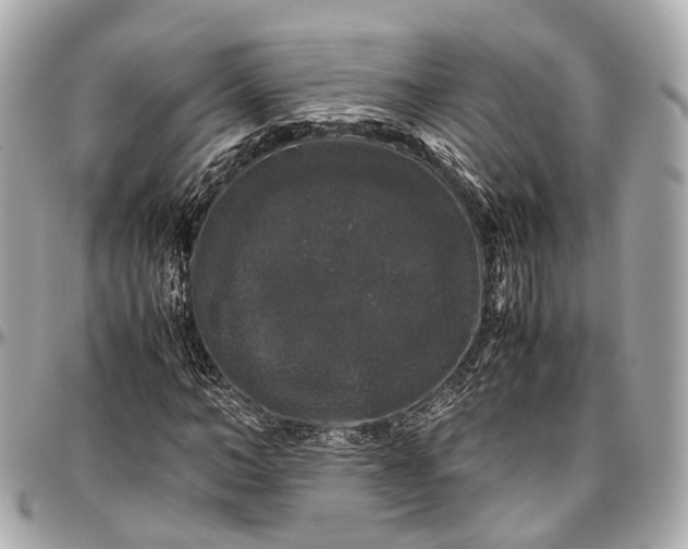 X0000097000966200802221517