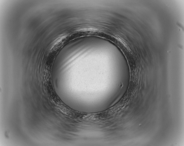 X0000097000967200802221517