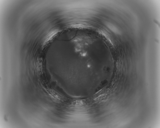 X0000097000968200802221517