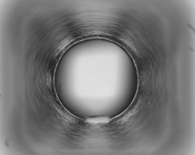 X0000097000969200802221517