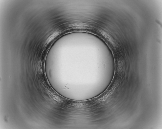 X0000097000970200802221517