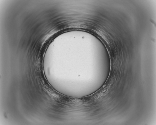 X0000097000971200802221517