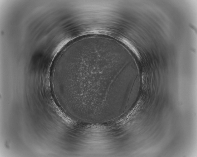 X0000097000972200802221517