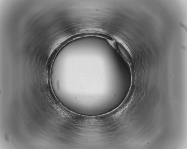 X0000097000973200802221517