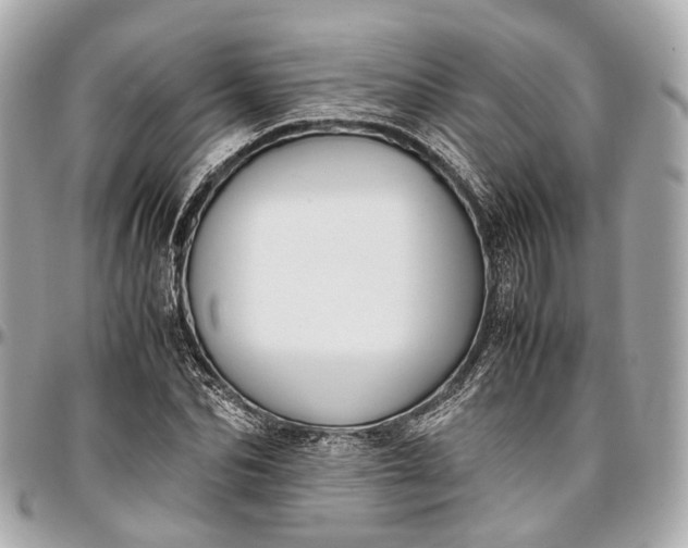 X0000097000974200802221517