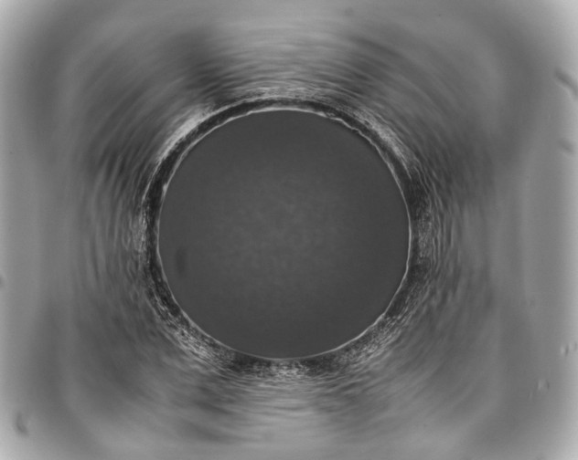 X0000097000975200802221517