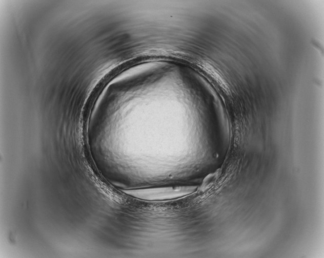 X0000097000976200802221517