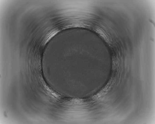 X0000097000977200802221517