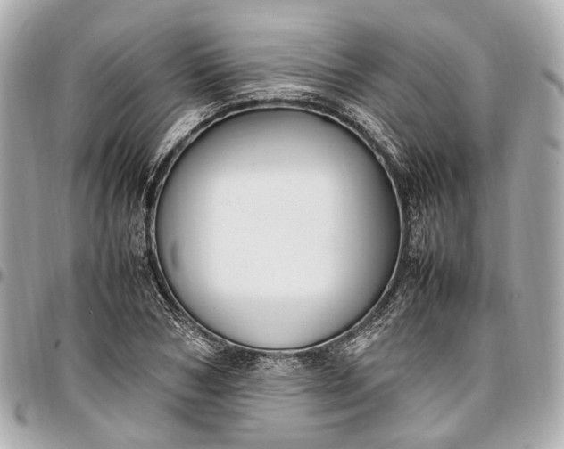 X0000097000978200802221517