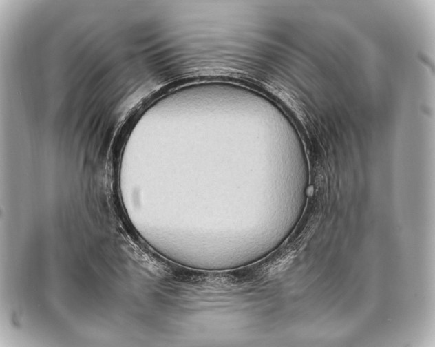 X0000097000979200802221517