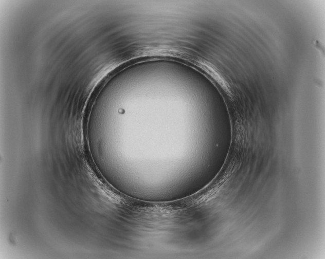 X0000097000980200802221517