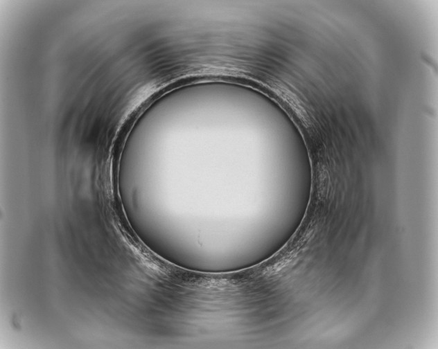 X0000097000982200802221517