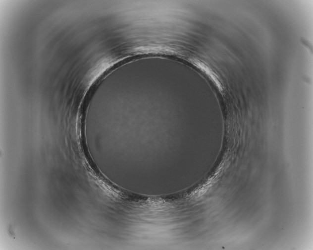 X0000097000983200802221517