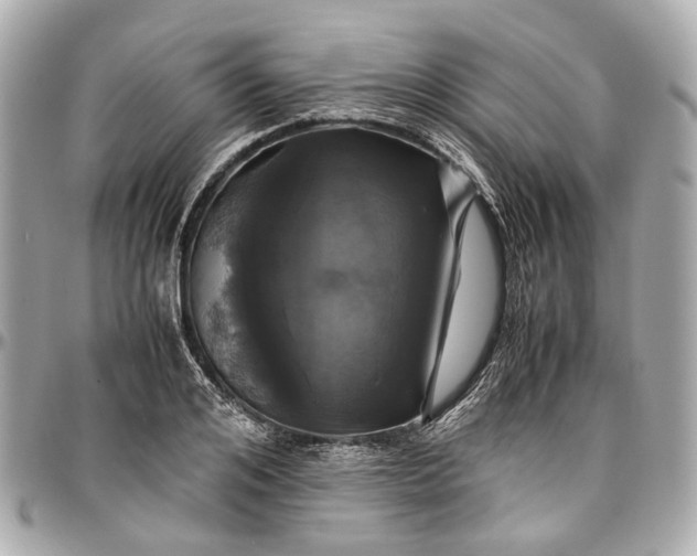 X0000097000984200802221517