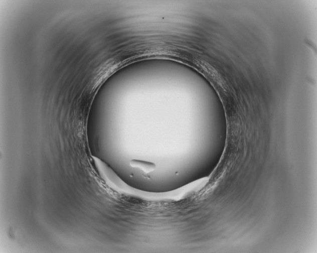 X0000097000985200802221517