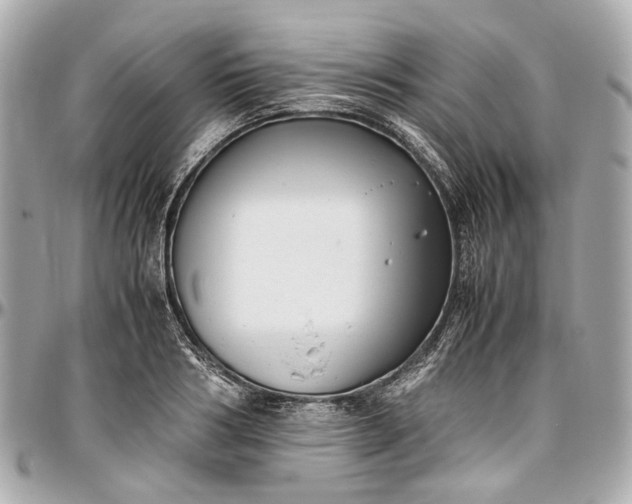 X0000097000986200802221517