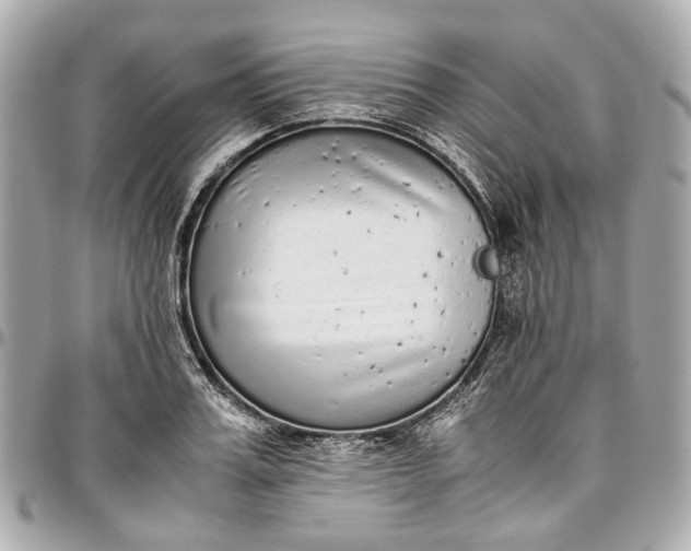 X0000097000987200802221517