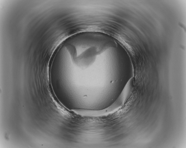 X0000097000988200802221517