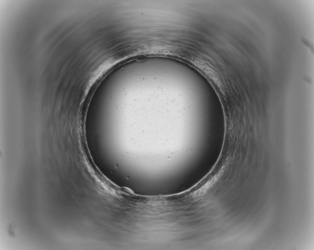 X0000097000989200802221517