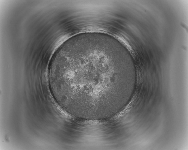 X0000097000990200802221517