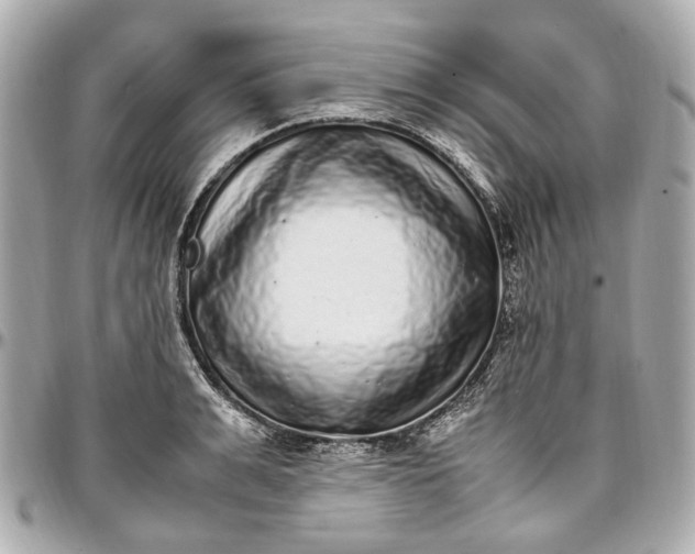 X0000097000991200802221517