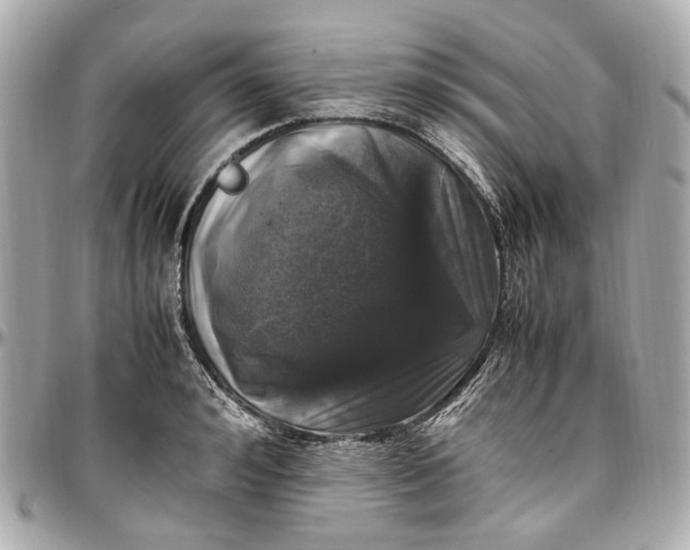 X0000097000992200802221517