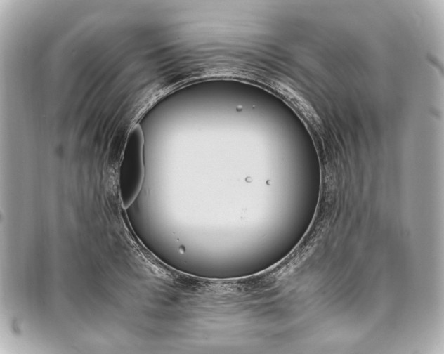 X0000097000993200802221517