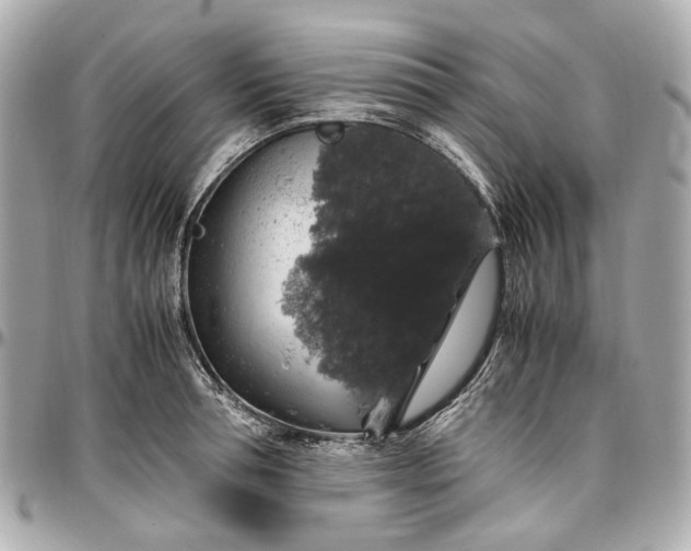 X0000097000994200802221517