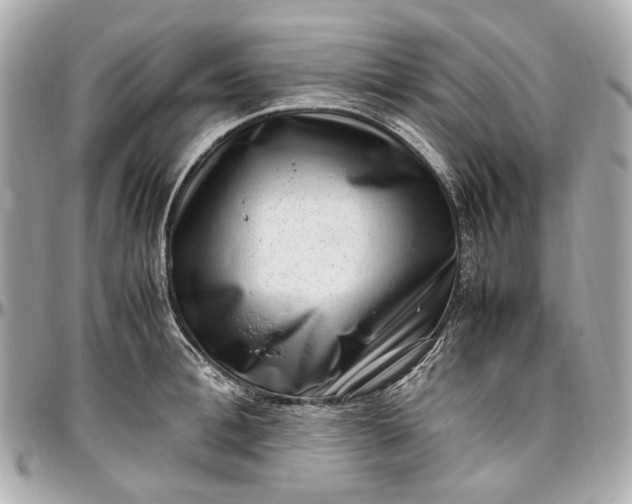 X0000097000996200802221517