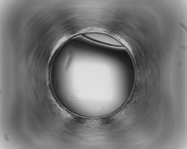 X0000097000997200802221517