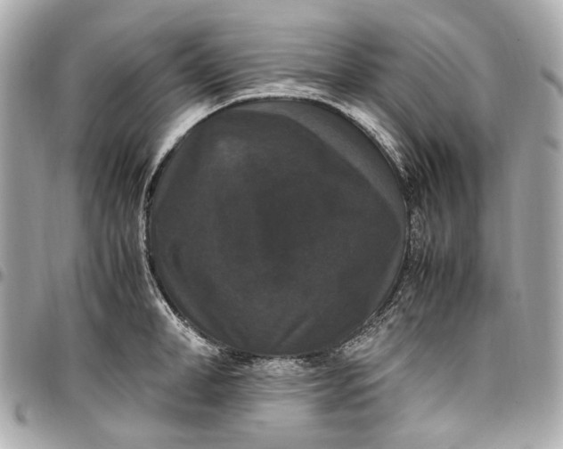 X0000097000998200802221517