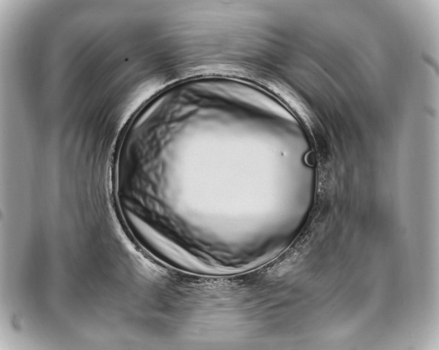 X0000097000999200802221517