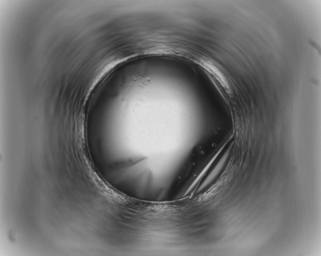 X0000097001000200802221517