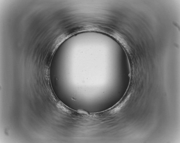 X0000097001001200802221517