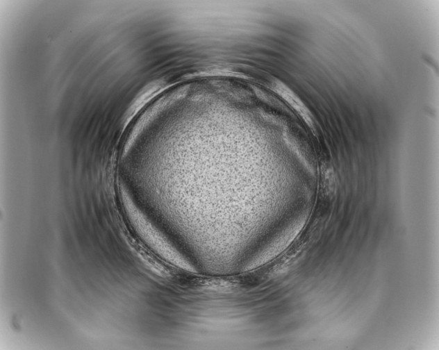 X0000097001002200802221516