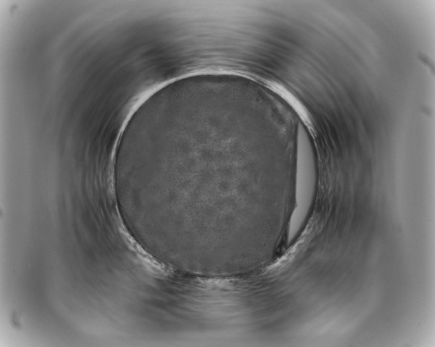 X0000097001004200802221516