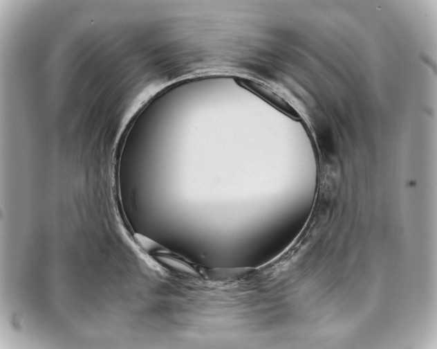 X0000097001005200802221516