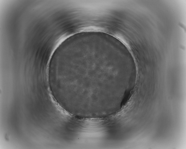 X0000097001008200802221516