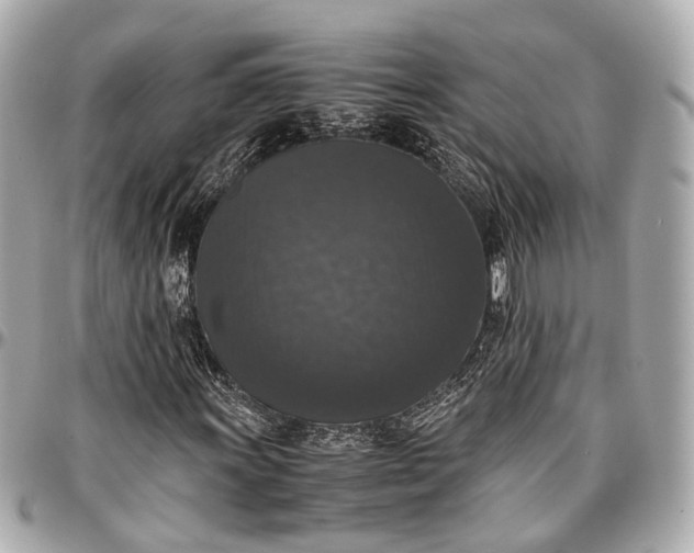 X0000097001011200802221516