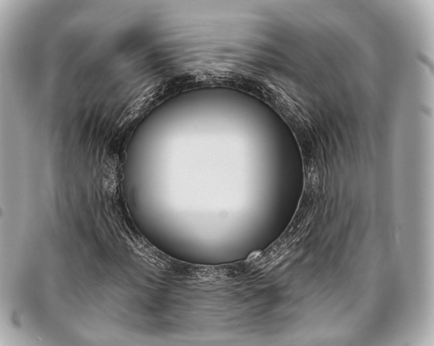 X0000097001012200802221516