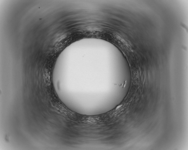 X0000097001013200802221516