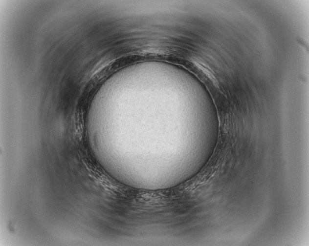 X0000097001015200802221516