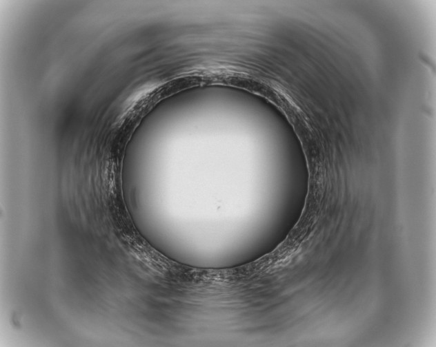 X0000097001016200802221516