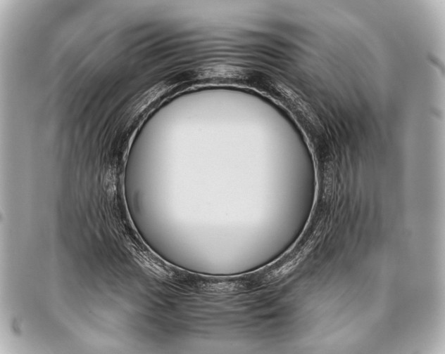 X0000097001017200802221516