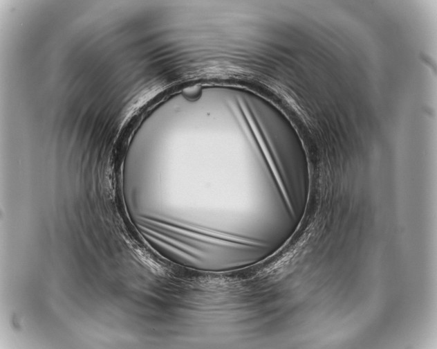 X0000097001018200802221516