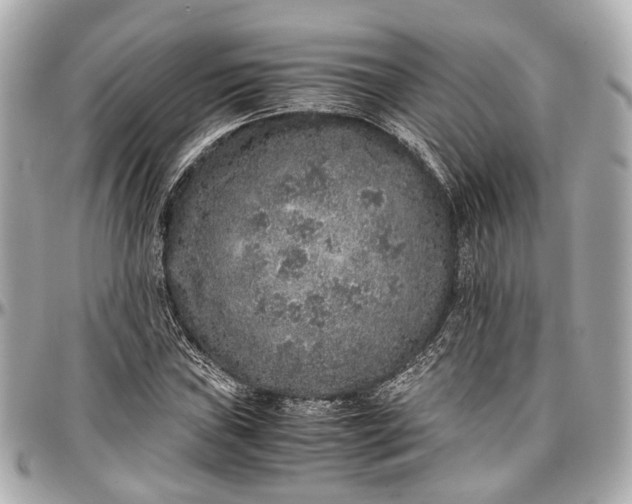 X0000097001019200802221516