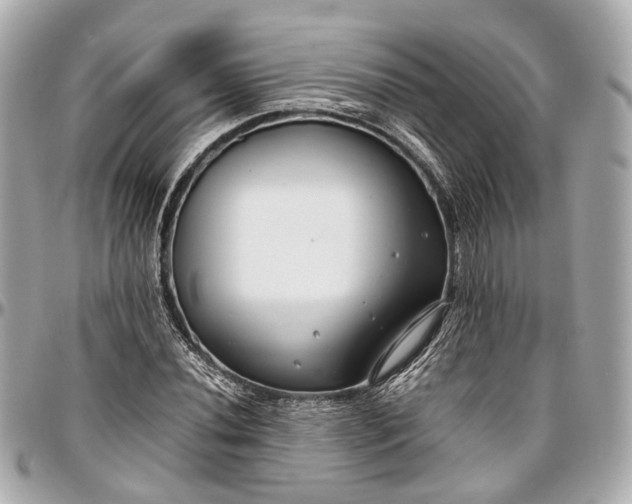 X0000097001020200802221516