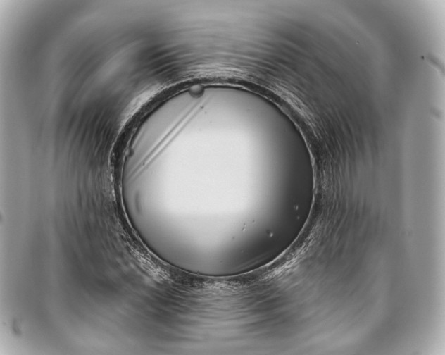 X0000097001022200802221516